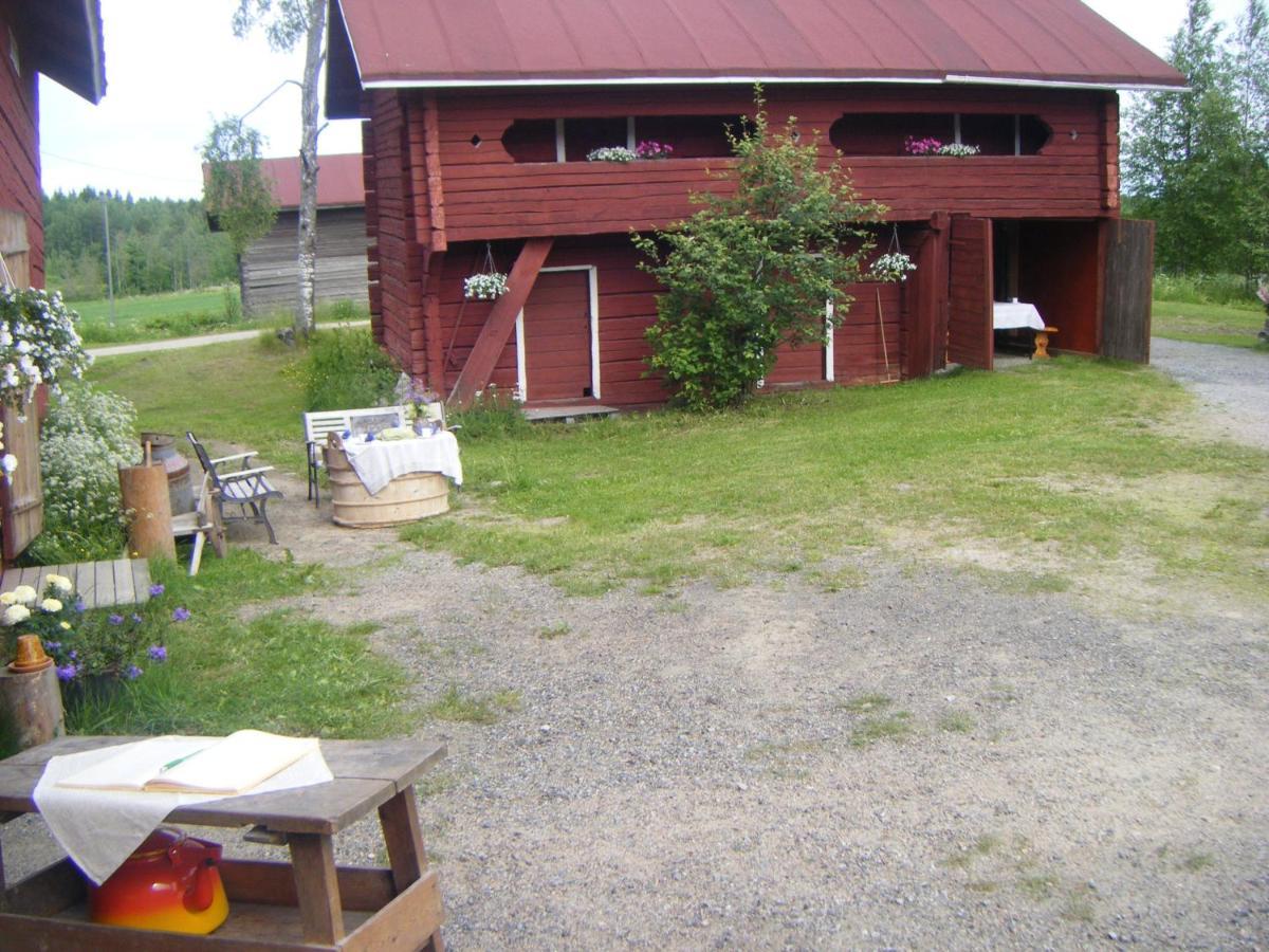 Lemettilae Countryside Accommodation Petäjävesi Esterno foto