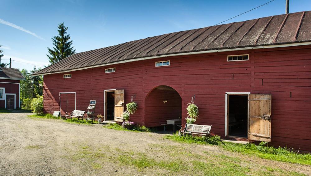 Lemettilae Countryside Accommodation Petäjävesi Esterno foto
