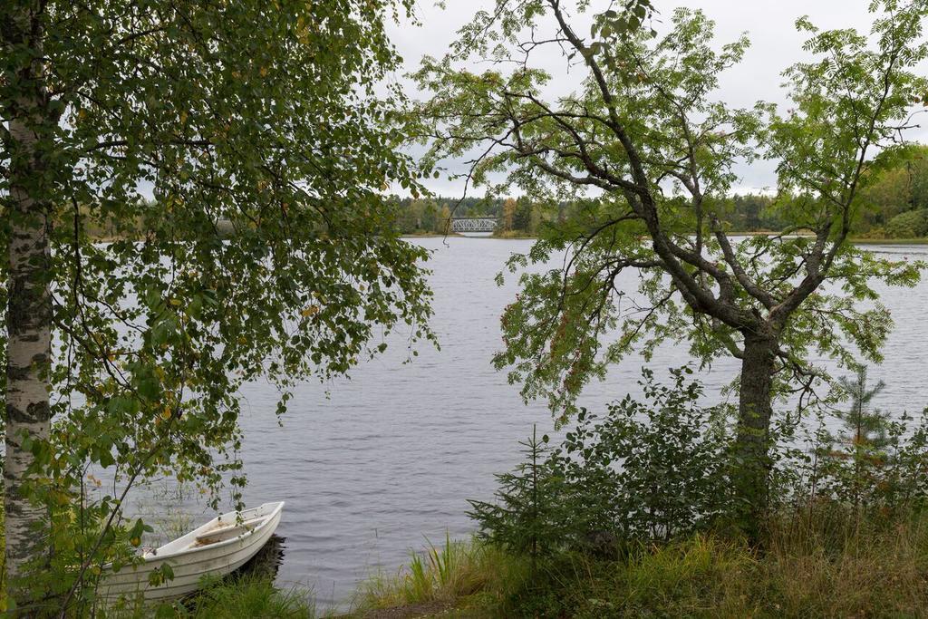 Lemettilae Countryside Accommodation Petäjävesi Esterno foto